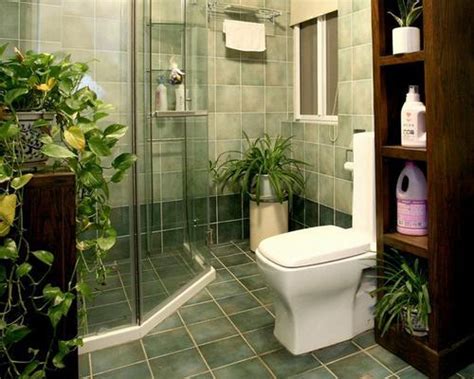 丁方 廁所放什麼植物